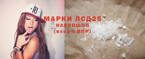 СК Алексин