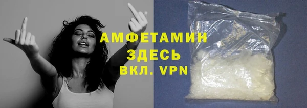 СК Алексин
