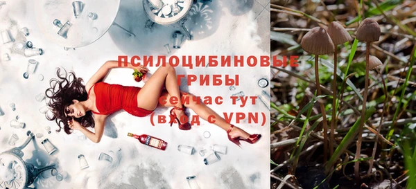 СК Алексин