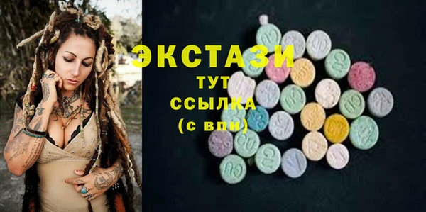 СК Алексин