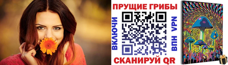 KRAKEN наркота площадка телеграм Галлюциногенные грибы мицелий Арзамас